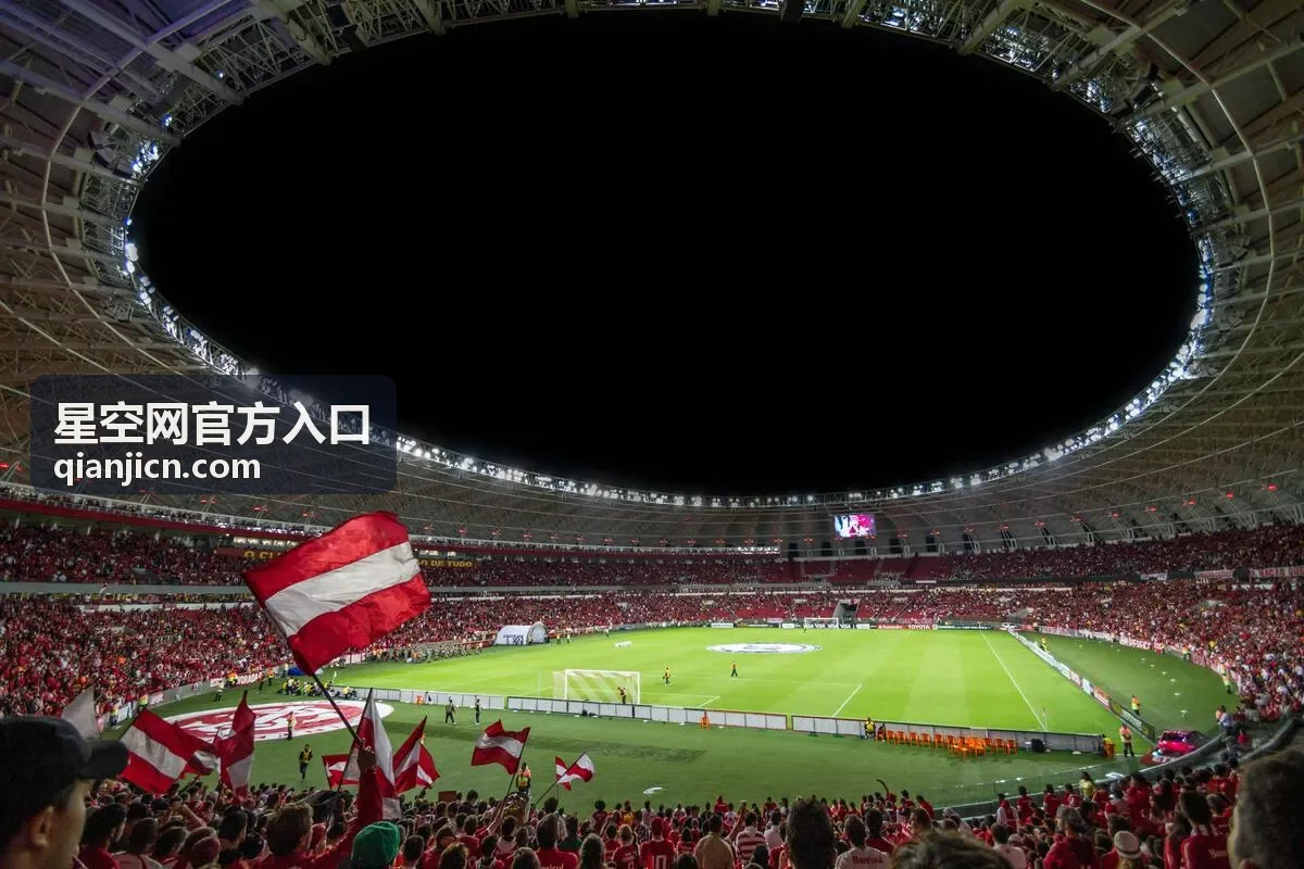 星空网官方入口访问排查栏目封面图