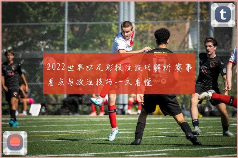 2022世界杯足彩投注技巧解析 赛事看点与投注技巧一文看懂